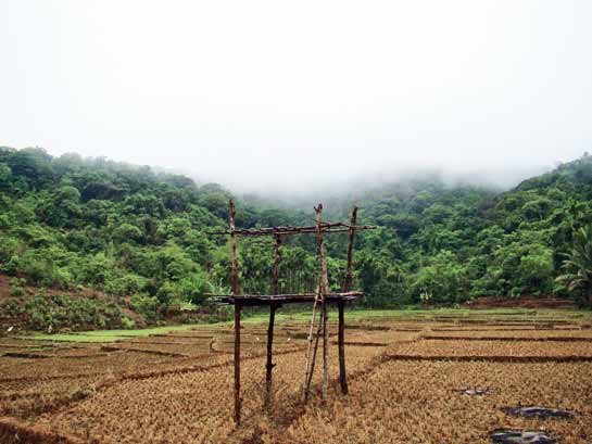 Diggi, the author's final campsite, is a small, remote village at the foothills of the Western Ghats, arguably the most beautiful in the entire Anshi-Dandeli Reserve.