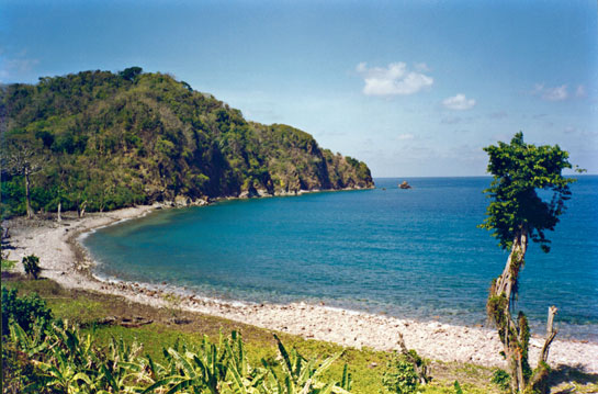 Narcondam, like other islands in the Andamans, is breathtakingly beautiful and is colonised by colourful butterflies, noisy cicadas, coral-strewn shores, and shells of every possible hue.