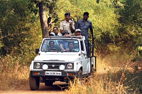 Prithviraj Chavan, Chief Minister of Maharashtra (extreme right), in the Tadoba Tiger Reserve, where a baby-boom of tiger cubs is underway.