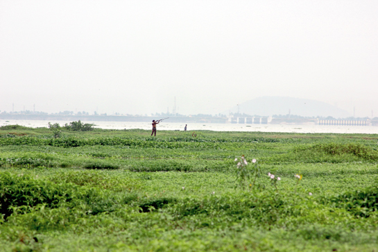 At the edge of the Chembarambakkam lake, a Narikurava tribesman is about to bring down a bird. Traditionally hunter-gatherers, Narikurava tribals have not been able to adjust to, or benefit from gains of &acirc;development' in modern India.