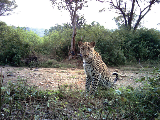 The images collected through the exercise underscores the incredible biodiversity of the landscape.