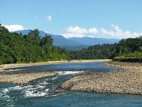 The Noa-Dehing river or Diyun, as it is called locally, originates from the mountains near the Chokan Pass on the Indo-Myanmar border and flows east-west before merging with the mighty Brahmaputra. With the Namdapha river, it waters Arunachal Pradesh's Namdapha Tiger Reserve.