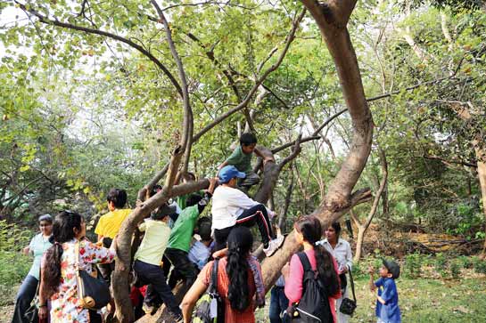 Children at play in the legendary Maharashtra Nature Park, in crowded Mumbai, where 2,50,000 children are able to be themselves, for a while, every year.