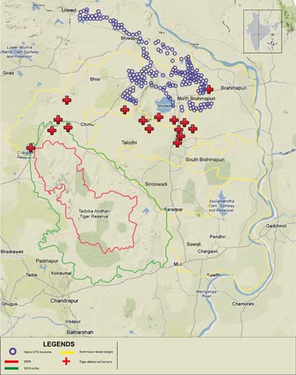 Maharashtra's forests are threatened by linear intrusions including roads, canals and rail lines. Additionally, mining, agriculture and other human degradation will aggravate man-animal conflict. Maharashtra's forests are threatened by linear intrusions including roads, canals and rail lines. Additionally, mining, agriculture and other human degradation will aggravate man-animal conflict.
