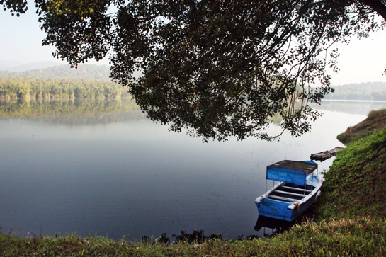 Kerala's Parambikulam Wildlife Sanctuary (part of the larger tiger reserve of the same name) has seen neither poaching nor conflict in over 10 years.