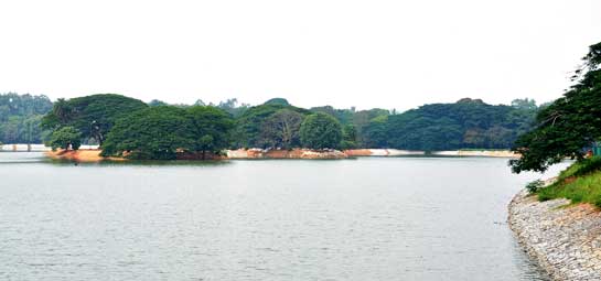 The building of high banks with stone pitching around natural lakes and ponds causes severe harm to the aquafauna of such waterbodies. This is clearly seen in the Lalbagh Lake, Botanical Gardens, Bangalore. In India, the quest for beautifying lakes often involves re-engineering that quite literally kills frogs and toads.