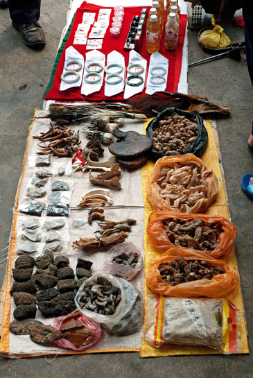 Once poaching was mainly small, local, sporadic and for the pot. Today, it transcends national and international boundaries, and like any other mainstream criminal activity, is well-organised, well-funded and ruthless.