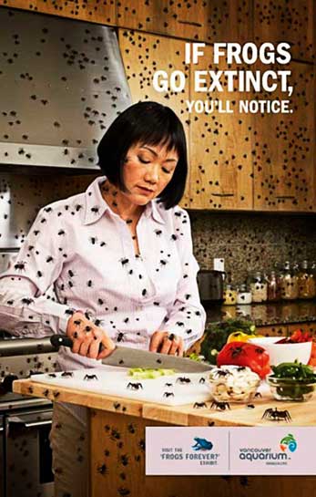 This innovative poster, created by the staff of the Vancouver Zoo, attempts to communicate the potentially catastrophic effect of eliminating the world's frog and toad populations. 