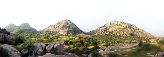 On top of the world - a leopard's view on life in Jawai.