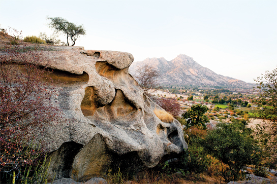 A frequent haunt that provides hideaways for the leopards, the Jawai hills according to geologists are in the region of 850 million years old. Chemical weathering below the earth's surface has resulted in bizarre hollows and cutaways - formations known as flare structures.