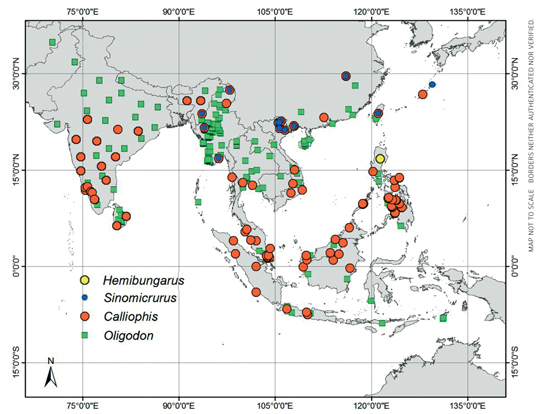 Range map depicting the old world distribution of different genus of coral snakes (Most references included from the Global Biodiversity Information Facility portal).