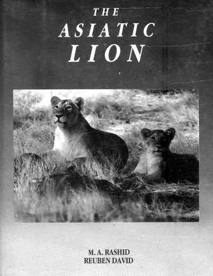M.A. Rashid brought about a fourfold increase in the number of national parks and sanctuaries in Gujarat including the creation of the Sasan Gir Lion Sanctuary and also authored an excellent book on the Asiatic Lion. M.A. Rashid brought about a fourfold increase in the number of national parks and sanctuaries in Gujarat including the creation of the Sasan Gir Lion Sanctuary and also authored an excellent book on the Asiatic Lion.