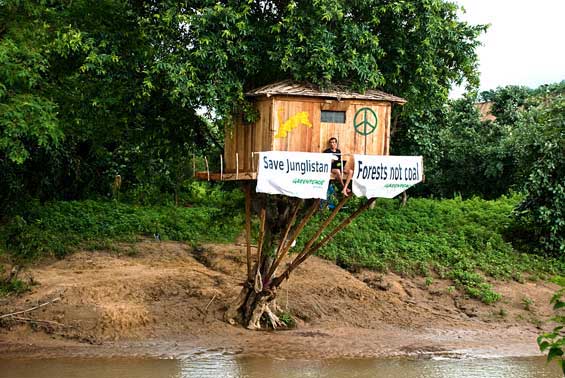 The author, a Greenpeace activist, chose to spend 30 days on a tree on the banks of a stream near Tadoba's tiger forests, to highlight how coal mining is wiping out our last remaining wilderness pockets.