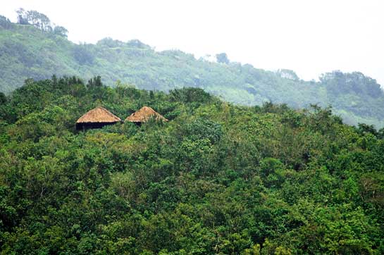 The Wildernest Resort today is truly one of a kind, functioning not simply as a tourism venture or a protected forest, but as the core of a community venture that works hand-in-hand with locals to better their livelihoods while safeguarding the wilderness.