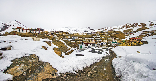 The Spiti Valley experiences harsh weather conditions, forcing its human and wild inhabitants to forge tentative peace with each other.