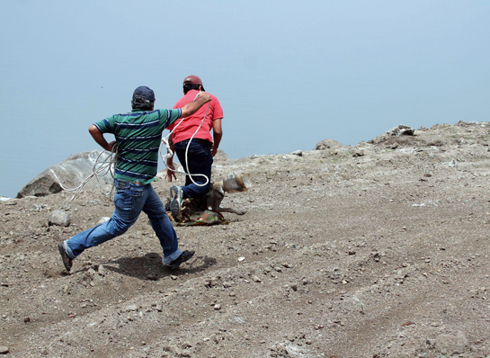 The rescuers cornered the wolf on the banks of a lake near the Umred range. Where all their rescue equipment failed, stamina and instinct triumphed and they finally caught and rescued the wolf with their bare hands.