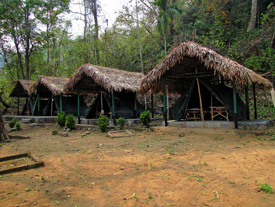 Tourism must sustainably benefit communities and wildlife, suggests Samrakshan, whose community-based camping facilities in two villages in the Balpakram-Baghmara landscape have come to be recognised as examples for others to emulate.