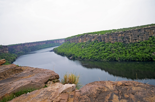 The Chambal river runs through the ravines, gorges and canyons of the stunning Vindhya ranges. The river valley supports sloth bears, hyaenas, leopards, langurs, nilgai and more.