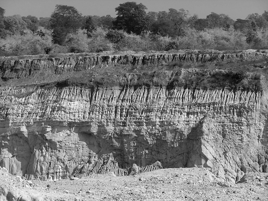 The proposed Lohara mining project could have disastrous effects on the biodiversity of the Tadoba-Andhari Tiger Reserve.