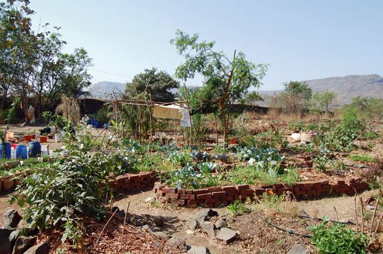 The chemical and pesticide-free produce from the organic garden at the St. Jude Child Care Centre in Kharghar, Navi Mumbai, goes to the children who stay at the centre during their treatment for cancer.