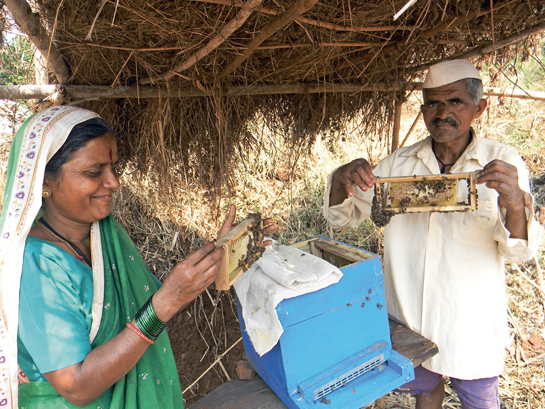 A farmer and his wife from Kolhapur, one of Under The Mango Tree's early project areas, proudly showcase their bee-box.