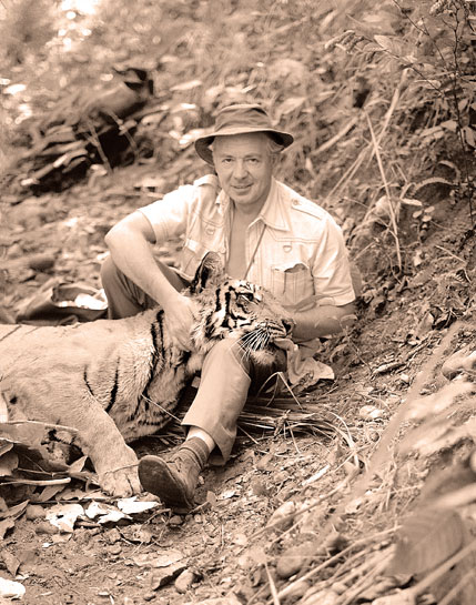 Peter with a tranquilised tiger in Nepal. In his words: Peter with a tranquilised tiger in Nepal. In his words: