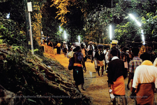 Every year between mid-November and mid-January, millions of devotees visit the Sabarimala temple exerting immense pressure on forest resources.