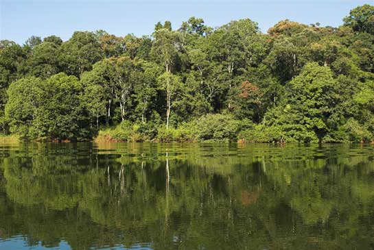 Developing nations such as India could benefit immensely by the proposal forwarded at Bali for issuing carbon credits as &acirc;compensated reductions