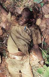 Forest guard killed in Simlipal. Credit:Simlipal Tiger Reserve.