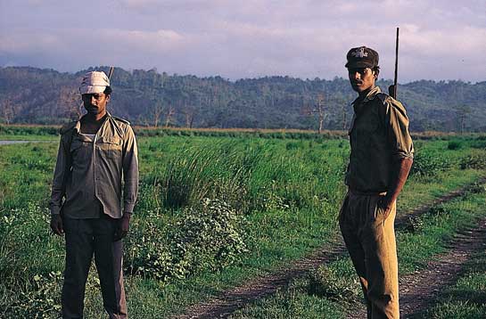 Across India, forest guards are outgunned by armed timber mafias.