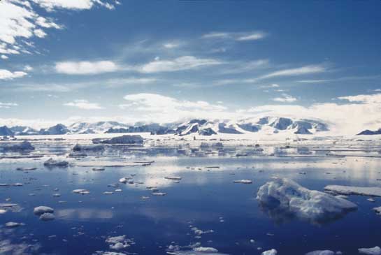 As the ice pack withers, sea surges, salt water intrusion into groundwater, failing crops and the spread of diseases like malaria and dengue could take a heavy economic and social toll in Asia.