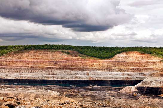 Coal mining is one of the largest threats facing India's forests today. With astounding disregard for our natural infrastructures, the MoEF gives rapid approvals to destructive projects.