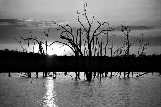 Methane emissions from large dam reservoirs across the world have been identified as a new and very huge source of greenhouse gases. This knocks the bottom out of the facile arguments put forward by proponents of large dams, which suggest this option as a &acirc;solution' to climate change.