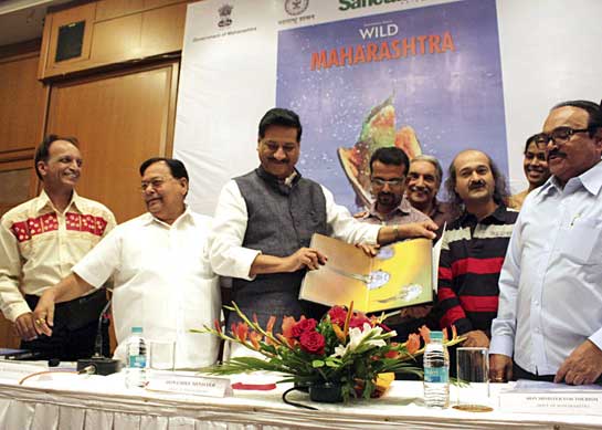 Today, Maharashtra has blossomed into a promising leader in tiger protection, with the support of its Chief Minister Prithviraj Chavan, seen here with Forest Minister Patangrao Kadam and some talented wildlife photographers.