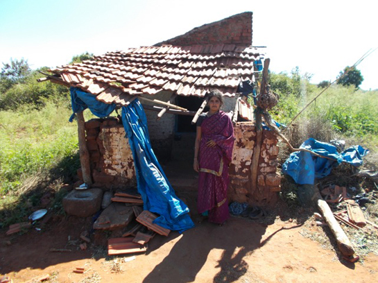 Property damaged by elephants.