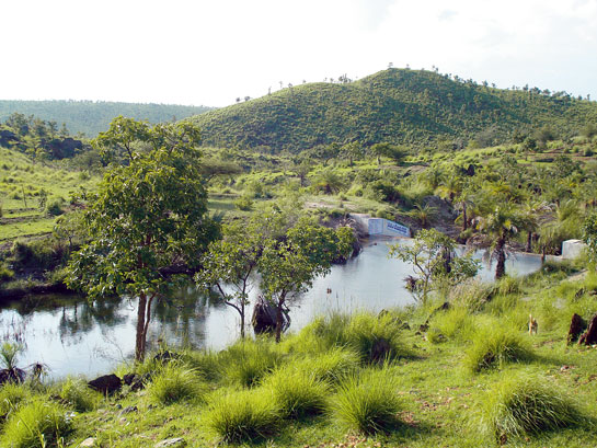 A community-based ecologically restored land as part of the Collective's &acirc;Kalpavalli' conservation programme.