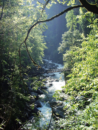 In the lower reaches of the park, a bridge sways over a gushing rivulet in the Tirthan valley. In the lower reaches of the park, a bridge sways over a gushing rivulet in the Tirthan valley.
