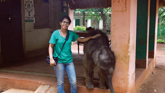 Sailaja Nayak has surmounted arduous field conditions and language barriers to work with big cats across the country.