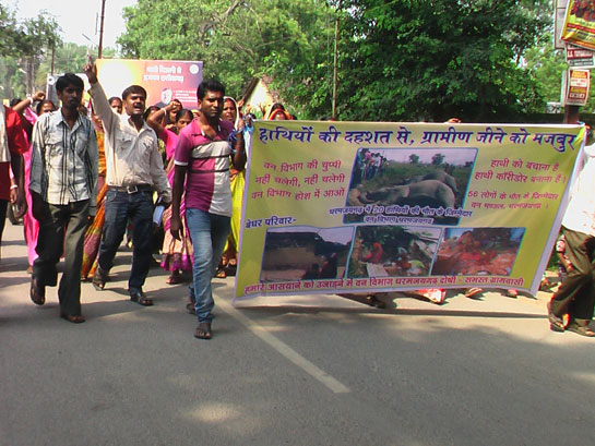 Project Leader Sajal Madhu leads a group of protestors rallying for government action in mitigating Human-Elephant Conflict in Chhattisgarh