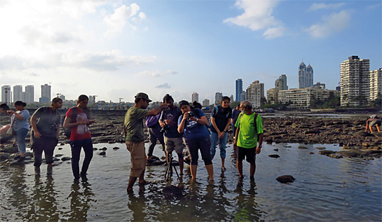 Conducting shore and beach walks to raise awareness about our marine heritage forms the crux of MLOM's work.