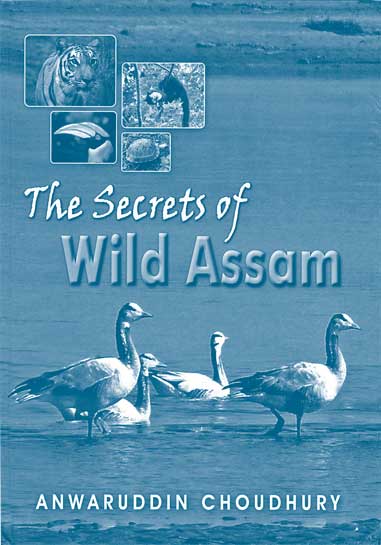 The Secrets of Wild Assam
