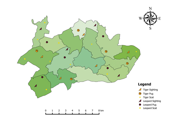 Direct and indirect sightings of tigers and leopards, as plotted on this schematic map, are compared across months to understand their presence and movement.