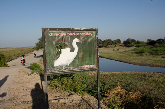 Signposts vandalised in Khijadiya Bird Sanctuary.