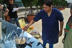 Solar Cooking