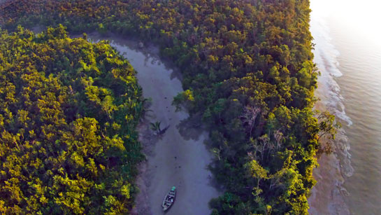 On December 9, 2016, a wrecked tanker ship released approximately 3,58,000 litres of heavy fuel oil into the Sela river in Bangladesh's Sundarbans. Over the following days, the oil spread to a second river and a network of canals, with environmentalists labelling it an ecological catastrophe of unprecedented proportions.