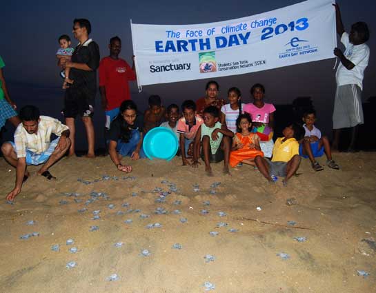 Olive Ridley hatchlings make their way down the beach closely watched by SSTCN volunteers.