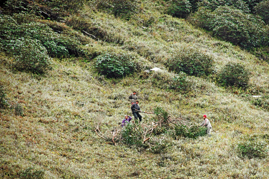 The intention behind the FRA was to enable marginalised tribal communities to own land they had used for centuries, where they would be able to live with dignity.