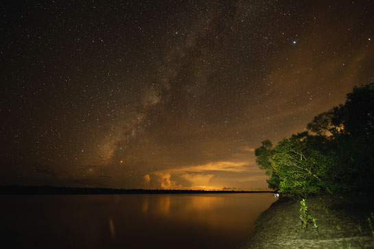 A million stars illuminate the night sky over the largest mangrove forest in the world, the Sundarbans, where the Ganga drains into the Bay of Bengal.