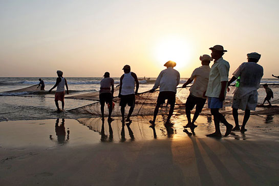 With the advent of mechanised fishing methods in Maharashtra in the 1980s, catchincreased three-fold, leaving artisanal fi shermen to cope with the decline in fish numbers.