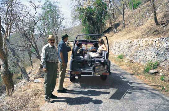 Tejvir Singh has resurrected Sariska since he was posted there as Field Director in 1996.